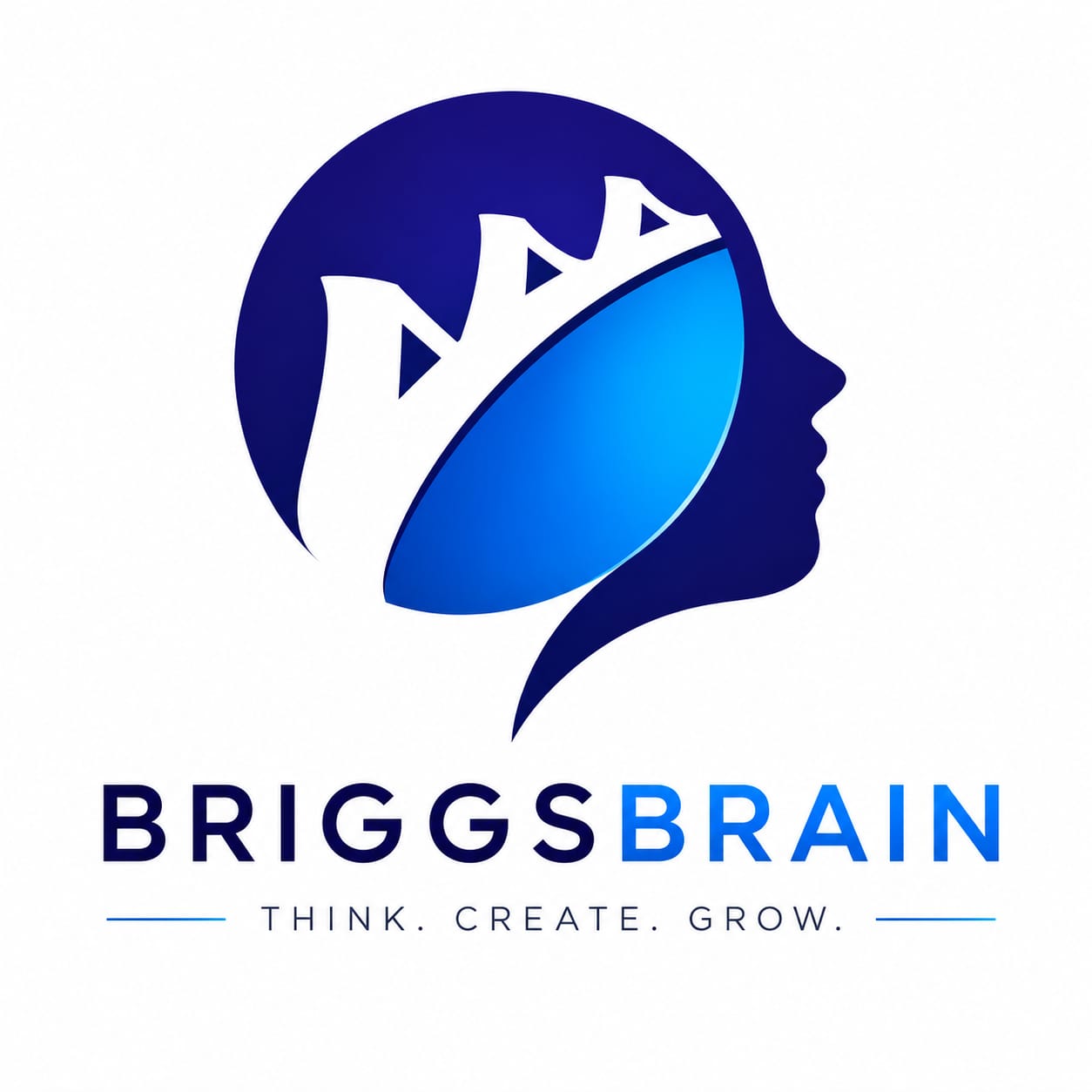 Briggsbrain edumart Pvt Ltd